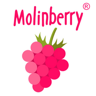 Molinberry Flavor Concentrates Canada