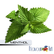 Menthol Arctic by FlavourArt7.99Fusion Flavours  